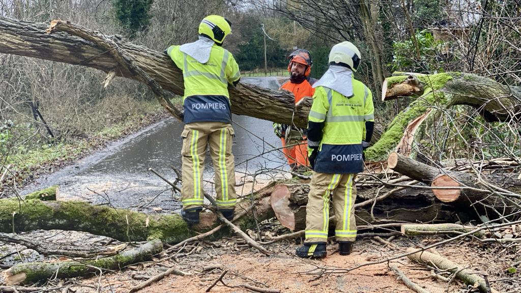 De nombreux arbres couchés après le passage de la tempête Louis