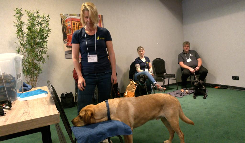 Os'Mose: rencontres internationales pour former les chiens d'assistance