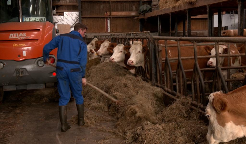 La colère gronde toujours dans les fermes : "On ne voit plus le bout du tunnel"