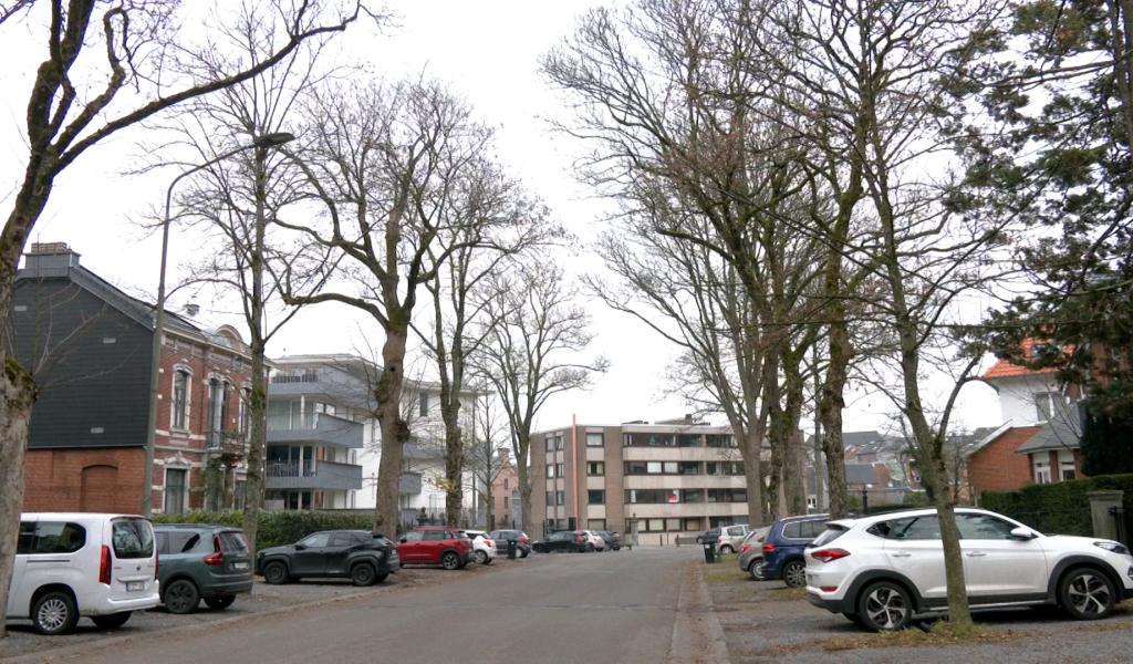 112 arbres bientôt plantés à Verviers pour lutter contre les îlots de chaleur