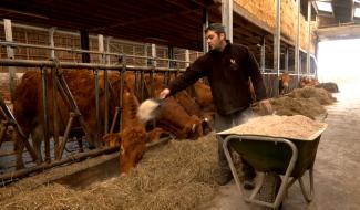 Malmedy : il rêvait de devenir agriculteur, aujourd'hui il est à bout