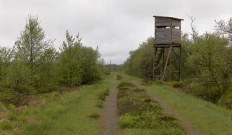 Fini de chasser sur une partie du plateau des Hautes Fagnes!