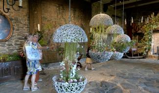 Les fleurs prennent d'assaut le château de Reinhardstein