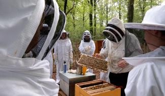 La Gileppe: en immersion dans le monde des abeilles