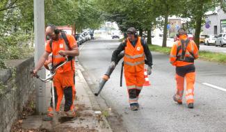 Les dessous des espaces verts à Verviers