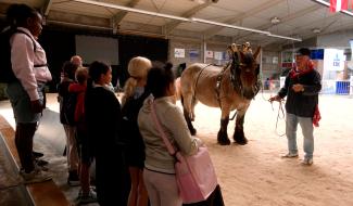 Foire agricole de Battice : les élèves mis à l’honneur ce vendredi