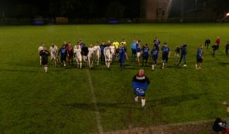 Match de gala sous le déluge pour les 125 ans de l’Union Limbourg