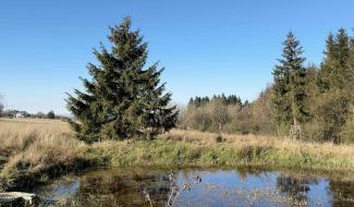 Spa-Malchamps: 48 ha réservés à la biodiversité