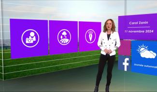 Météo - 11/11/2024