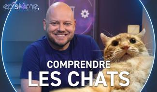 Epistème - Pourquoi les chats miaulent et ronronnent ?