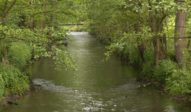 Un accord transfrontalier pour plus de sécurité dans le bassin de la Gueule