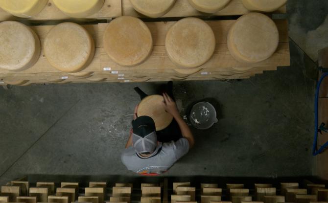 À Bilstain, les fromages bio de la ferme Tri Dieu sont fabriqués par un passionné