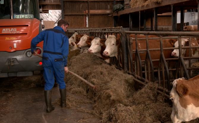 La colère gronde toujours dans les fermes : "On ne voit plus le bout du tunnel"