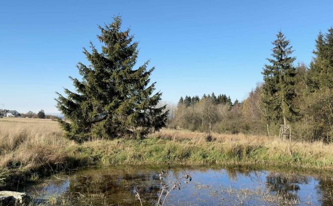 Spa-Malchamps: 48 ha réservés à la biodiversité